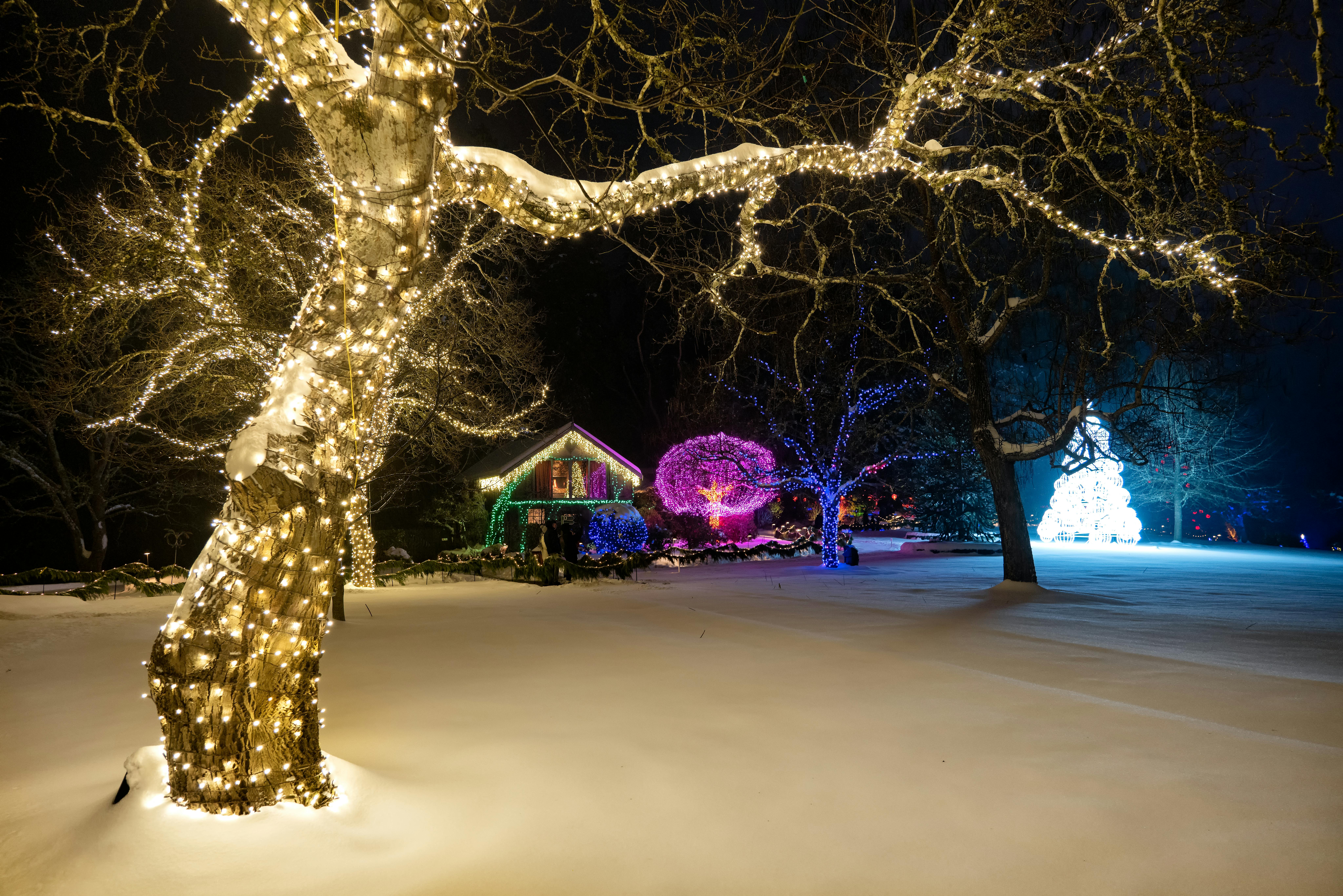 Winter Background 2