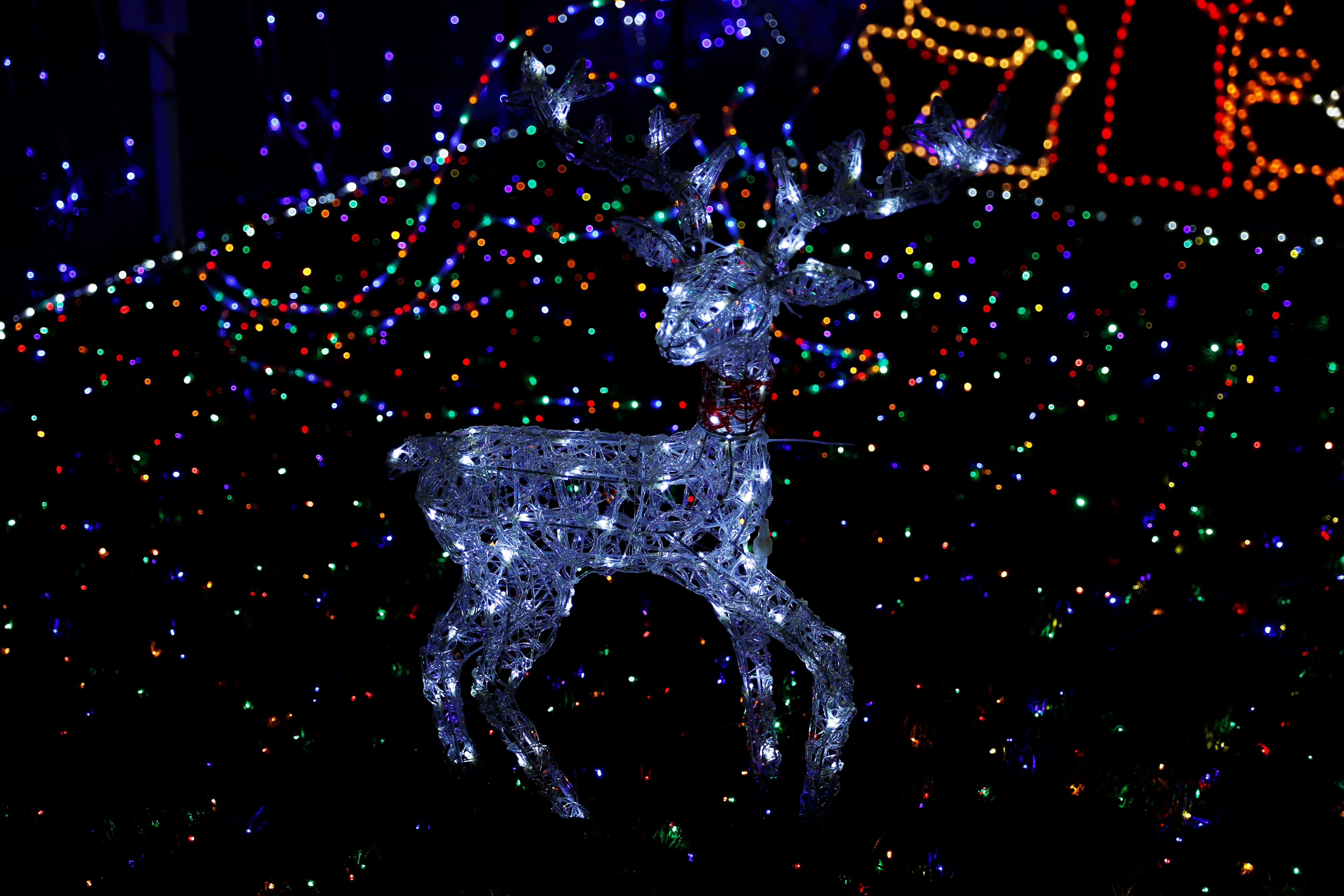 Winter Background 3